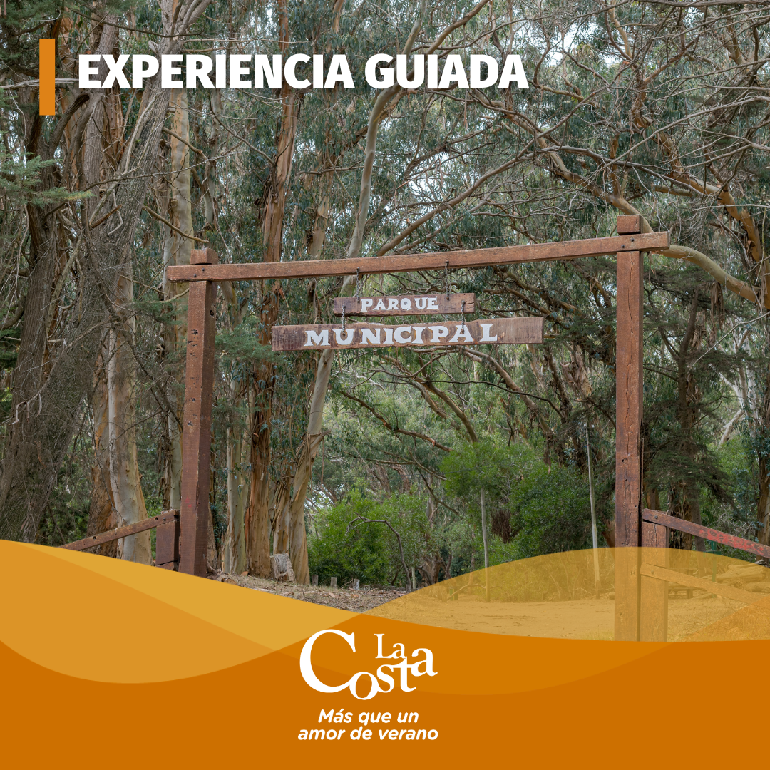 Agenda de Eventos y Actividades (1)