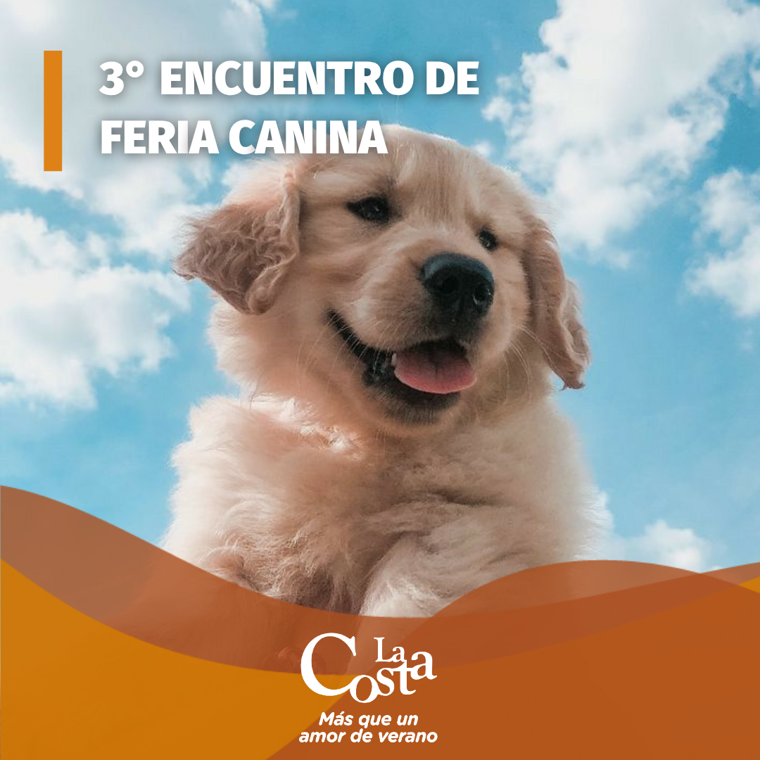 Agenda de Eventos y Actividades (4)