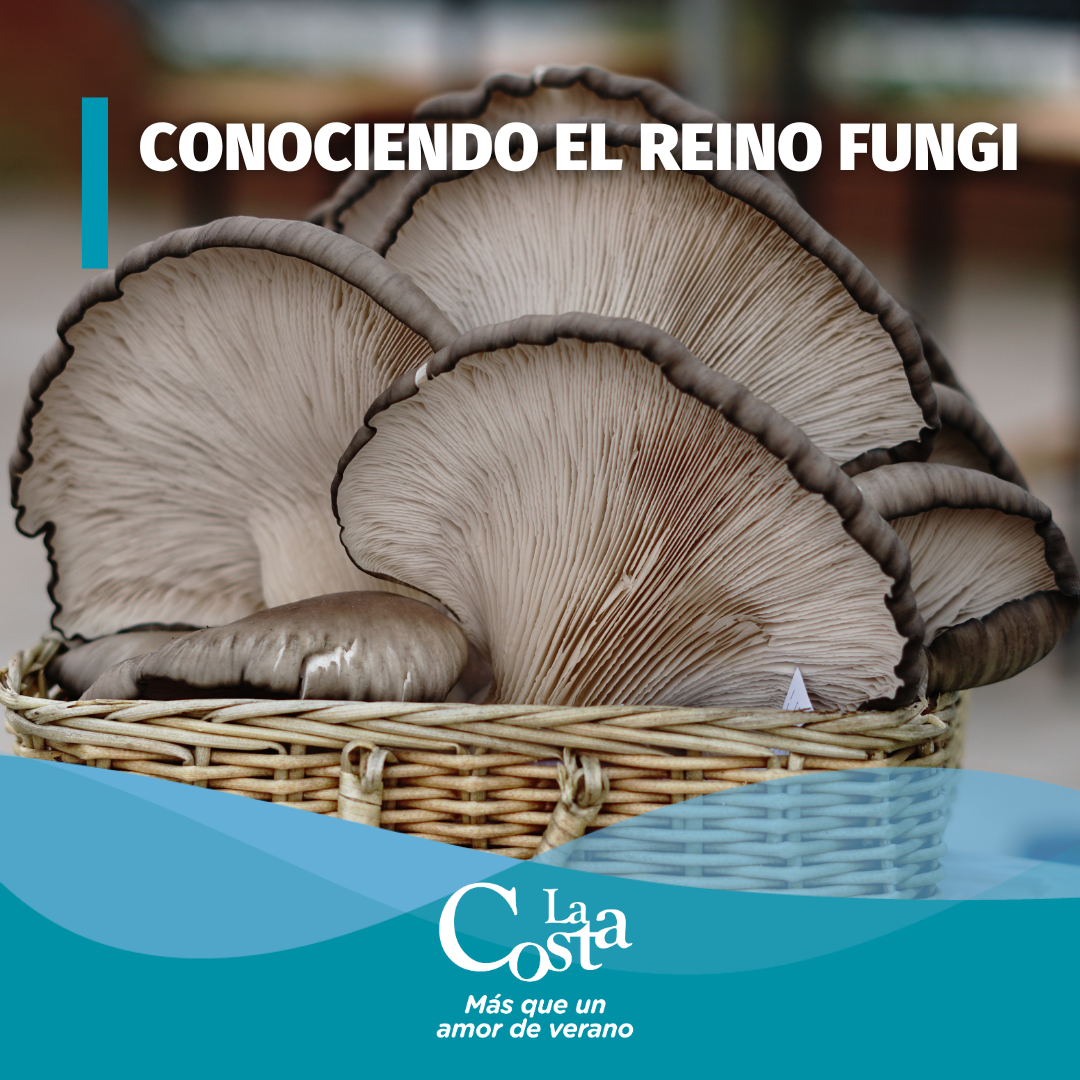Agenda de Eventos y Actividades (9)