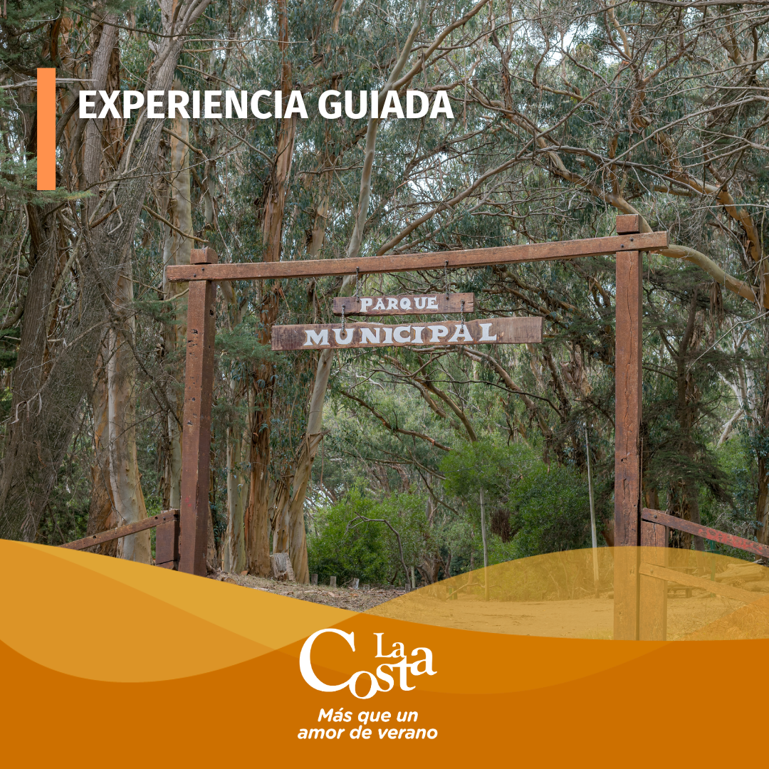 Agenda de Eventos y Actividades (38)