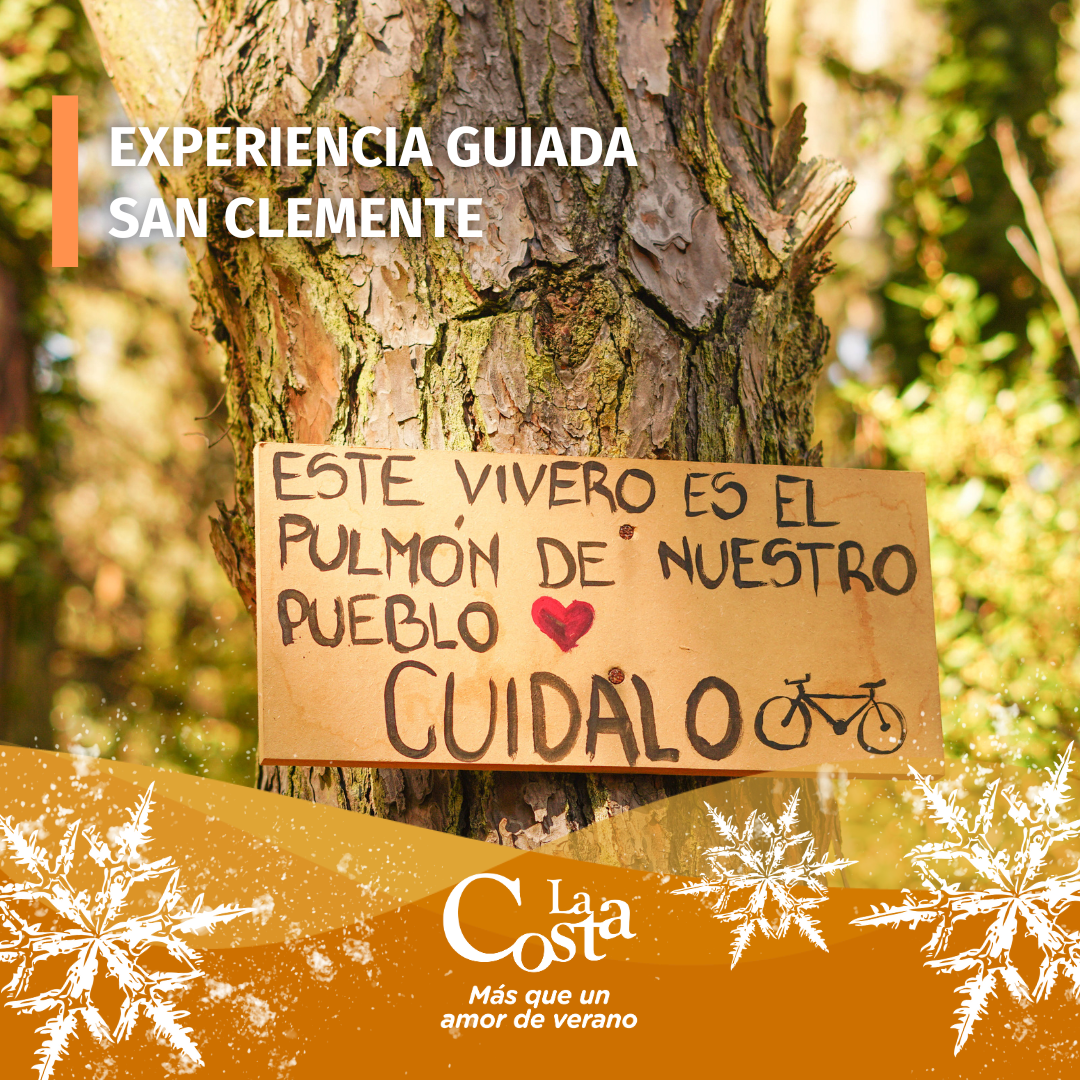 Agenda de Eventos y Actividades (51)