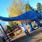 WhatsApp Image 2026-02-11 at 10.34.54 AM