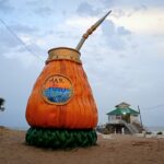 WhatsApp Image 2026-02-11 at 10.40.43 AM