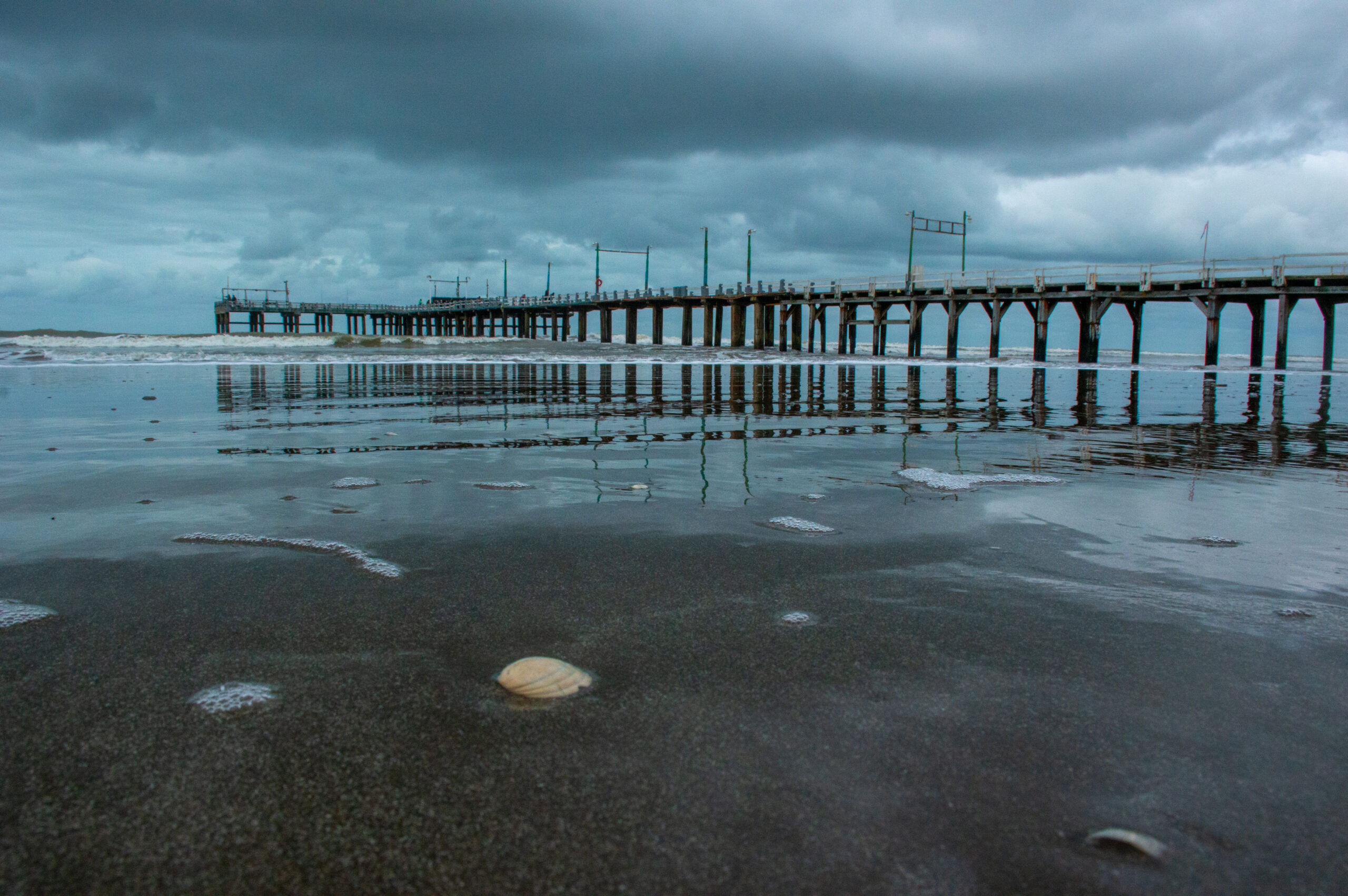 Muelle (1)