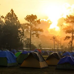 camp, the forest, tent-5296645.jpg