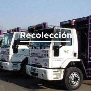 recolección